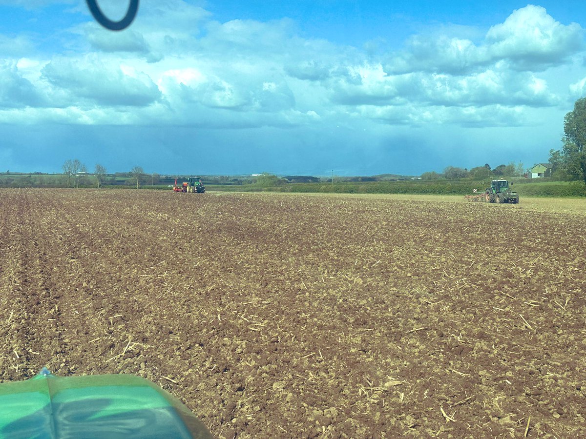 Maize drilling has begun. Dodging the showers.