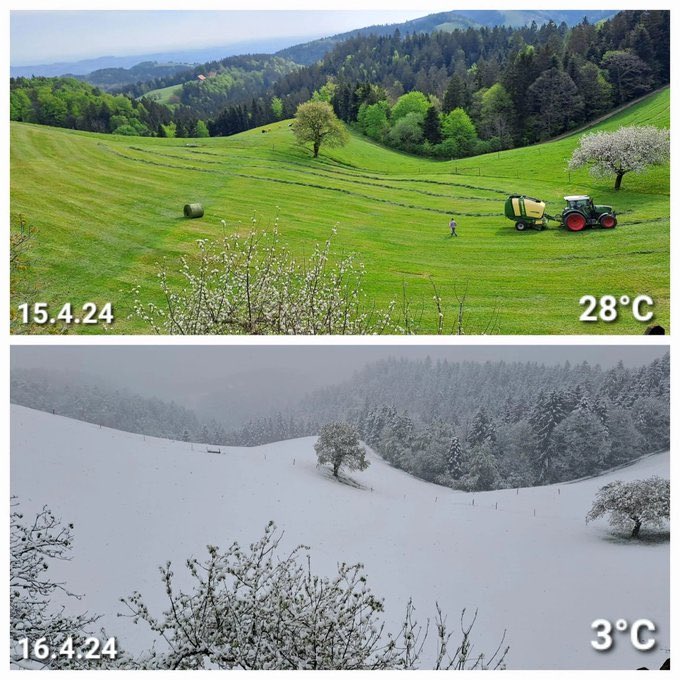 TiklaHaber_com's tweet photo. Slovenya'da rekor sıcaklık düşüşü yaşandı. Bir günde 25 derece birden soğuyan hava, yaz modundan kış moduna geçti. https://t.co/J5yBanrUGl