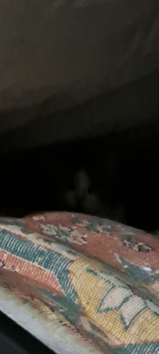 valiyev (@elnurvaliyevv) on Twitter photo 