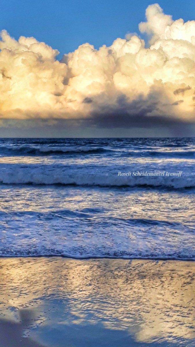 The golden clouds and their beautiful reflection 💛
#StormHour #photography 
#NaturePhotography #clouds 
#beach #ThePhotoHour