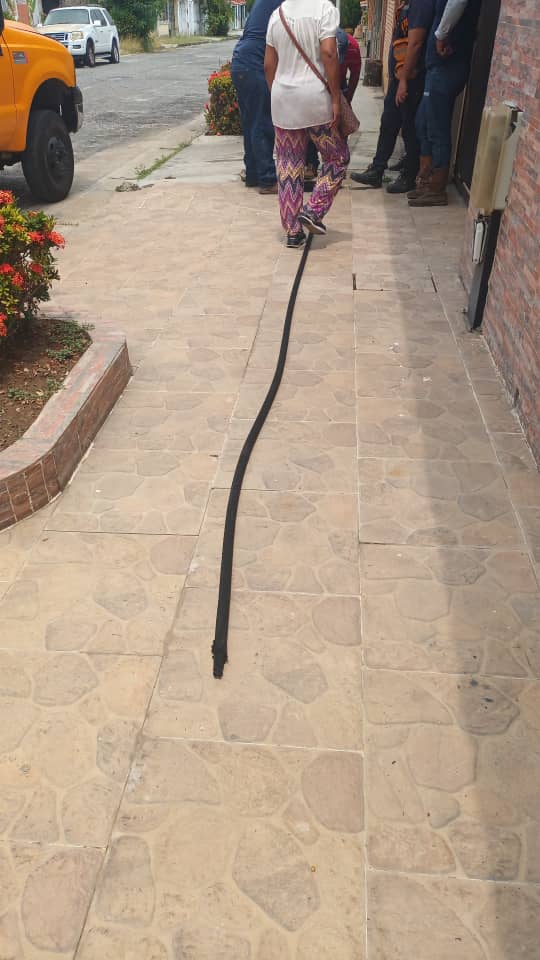 Valencia Hoy ... Blo tweet media