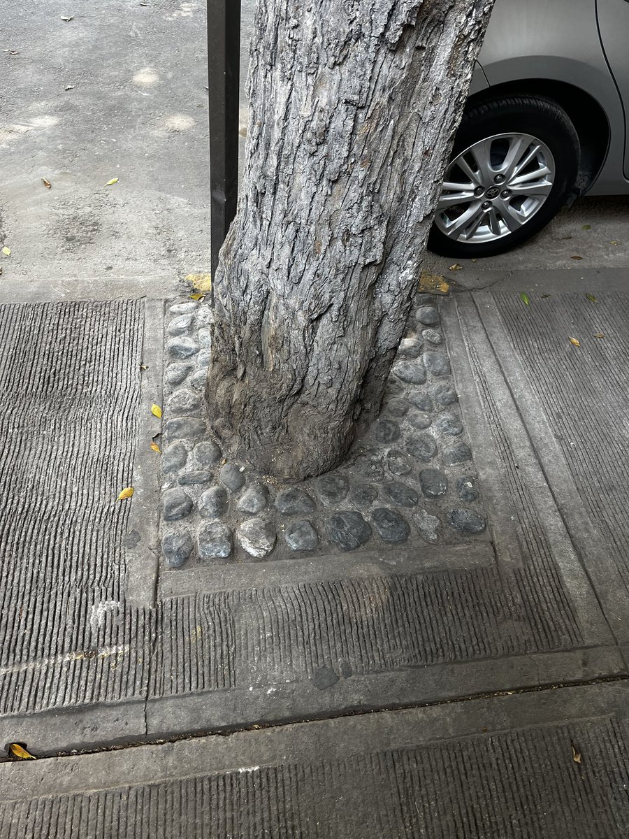 Buenas tardes @AccionesBJ @BJAlcaldia @Jaime_Mata_S solicitamos retirar concreto alrededor de 3 árboles en la calle de Martín Mendalde números1346 y 1338, Colonia del Valle. @ColDelValleBJ