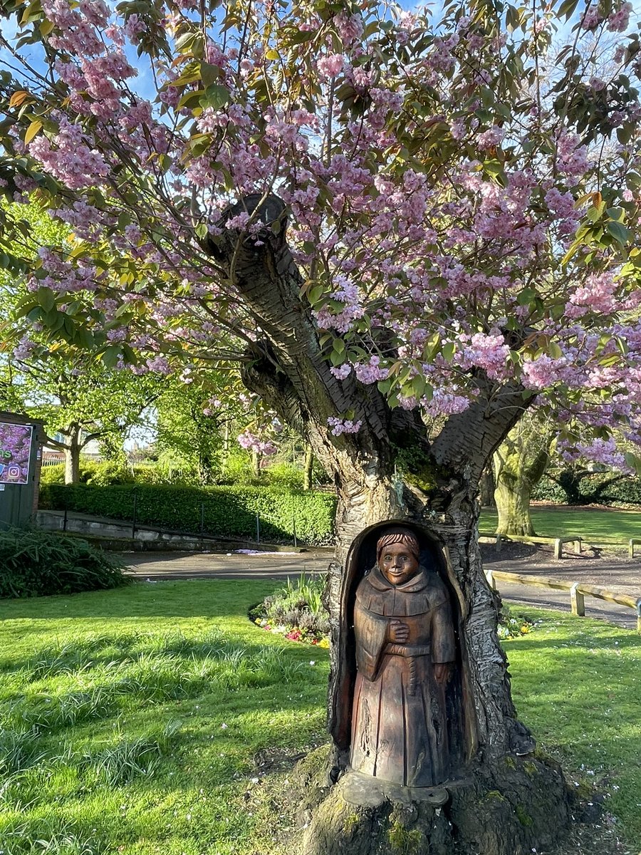 ponte_valley's tweet image. And so, the #blossom begins to fall 🌸 @Expwakefield @MyWakefield @PandCExpress @PontefractCivic @pontefractinbl1 #Pontefract