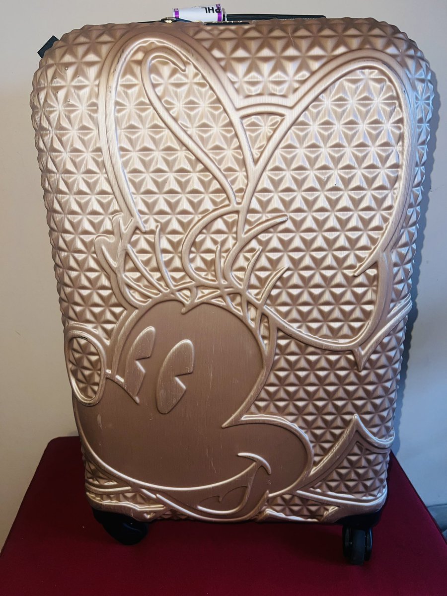 Gotta love how <a href="/AmericanAir/">americanair</a> damaged my <a href="/fulBags/">ful</a> and rather than giving me the money to buy a new one, they want to give me the bag they chose. Unless you can add #MinnieMouse it’s a no!