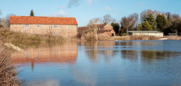 Important update on flooding and the Farming Recovery Fund

Read More via #HortNews >> hortnews.com/articles/horti…

@NFUtweets #FarmingRecoveryFund