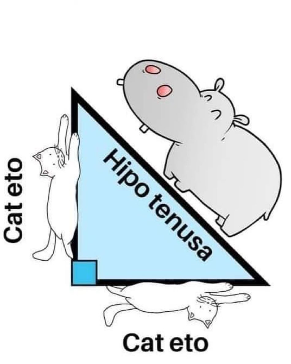 Informa Cosmos tweet media
