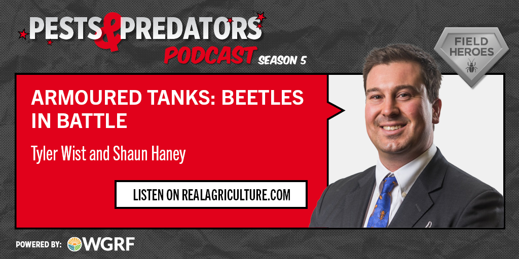 New episode alert 🚨 Episode 27 has just been posted! Join @TylerWist1 as he answers key questions about lady beetles, ground beetles and soft-winged flower beetles. Listen here: youtube.com/watch?v=iCtxXn… 🎙️: @westerngrains