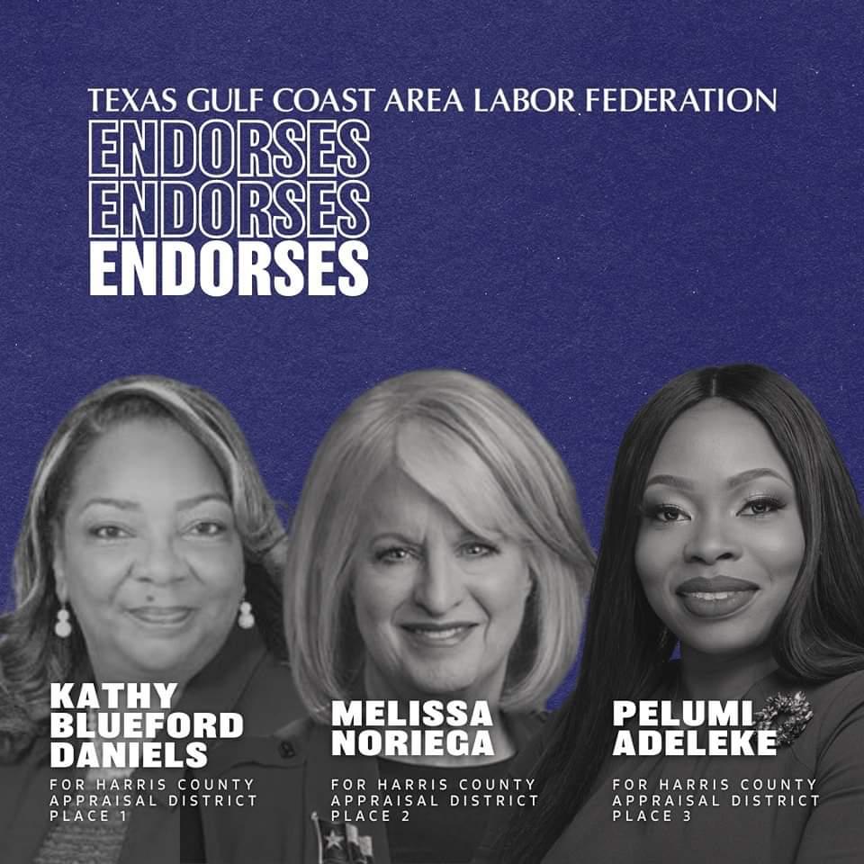 When are we going to wake up and fight back?

The #HCAD election is May 4th. Vote for @Pelumi4tx @mzkatdan @MelissaNoriega and fight back against this Texas GOP plan.