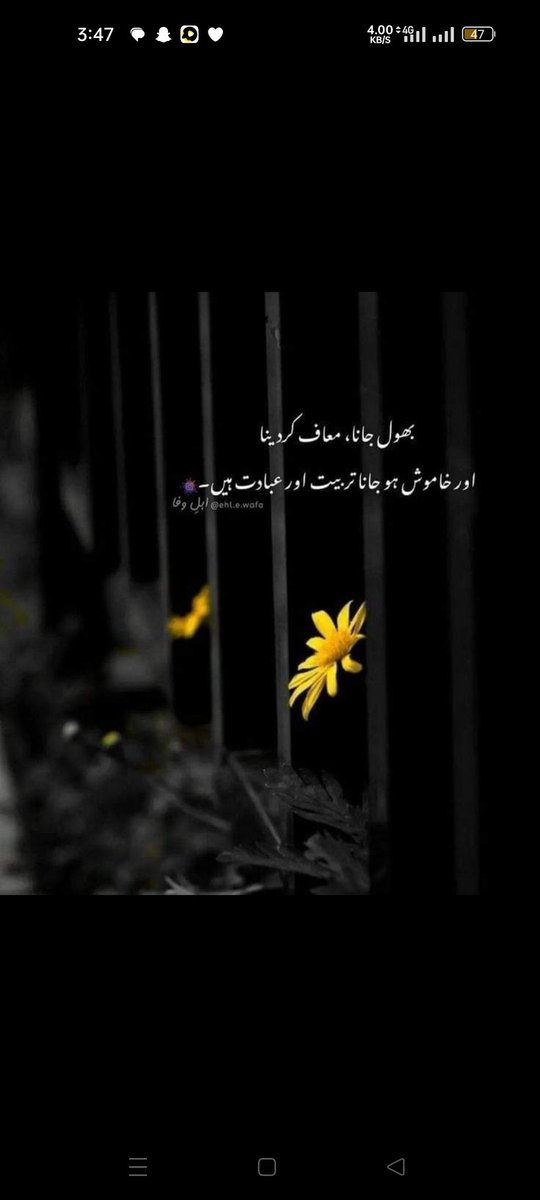 Faisal Khan tweet media