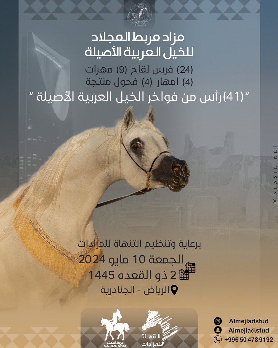 almejlad_stud's tweet photo. يسرنا دعوتكم لحضور #مزاد_مربط_المجلاد " الأول " لـ الخيل العربية الأصيلة 
وذلك يوم الجمعة ٢ ذو القعدة ١٤٤٥ 
الموافق 10 مايو 2024 بعد صلاة العصر بإذن الله .. برعاية التنهاة للمزادات
الرياض - الجنادرية .
#المجلاد #التنهاة #مربط_التنهاة #مزاد_التنهاة 
#الجنادرية #الرياض #الجوف . https://t.co/yxvxoz3DgY