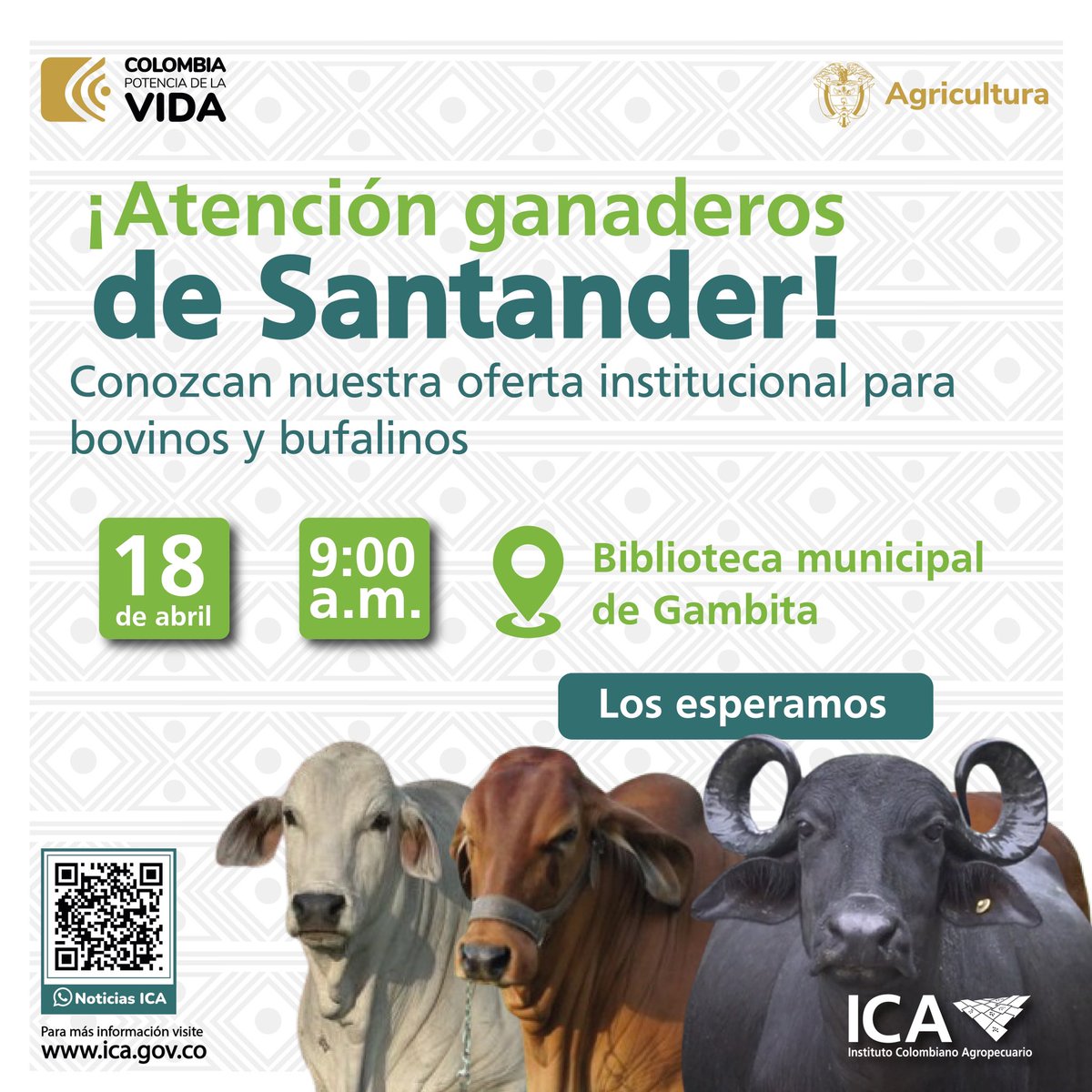 📣 Productores pecuarios de #Santander, entérate de toda la oferta que tenemos disponible para mejorar las condiciones sanitarias de tu producción bovina y bufalina. 🐂 ¡Contamos con tu asistencia!