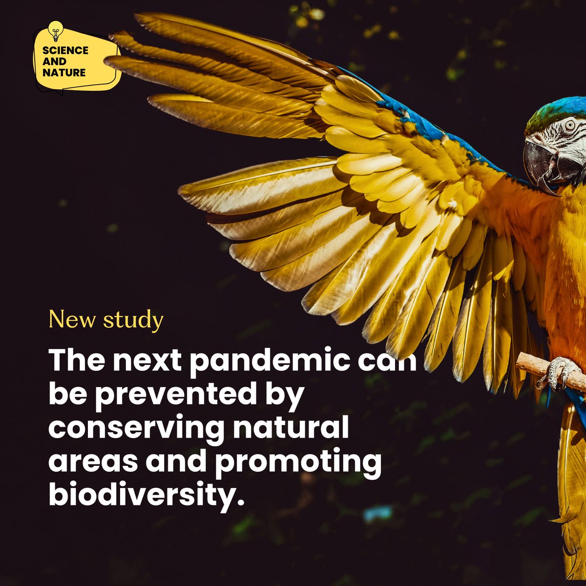 New study in @NaturePortfolio describes ways to prevent pandemics is by focusing on ecological restoration. This is in complete harmony with all the 18K nature stewards within Restor community - working each day to protect ecosystems. Read: lnkd.in/gdwjjVHz