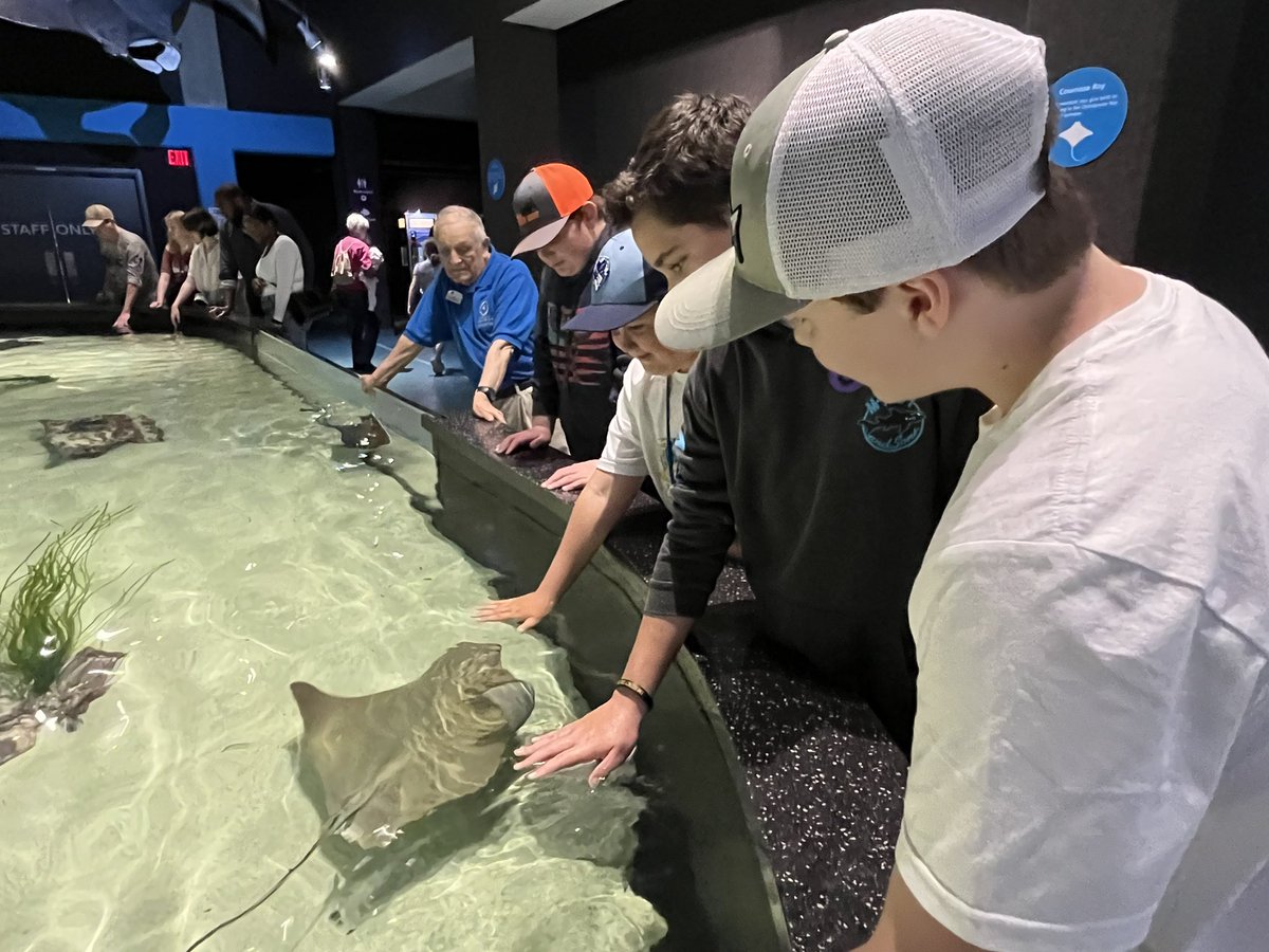 drbbettis's tweet photo. Bethel School’s middle schoolers loved the Virginia Beach Aquarium!  @bethel_school #bethelallin #WeAreWatauga https://t.co/K1GIXAhDjA