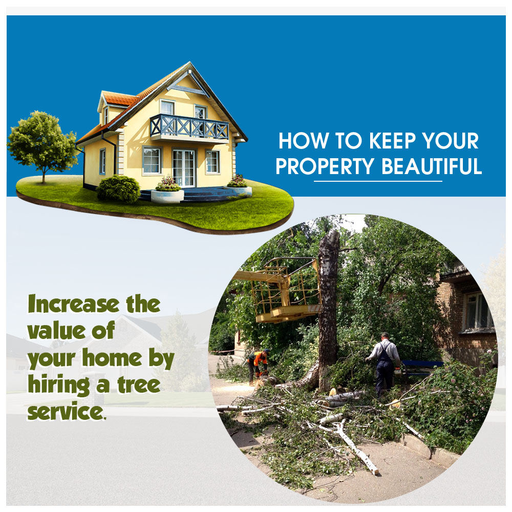 Need Tree Service? McAbee Tree Care offers major services such as tree removal, tree trimming, vista pruning, forestry mulching, grading and hauling. Visit our website at: bit.ly/3I2bY7C for more information or to schedule a free estimate! #mcabeetreecare