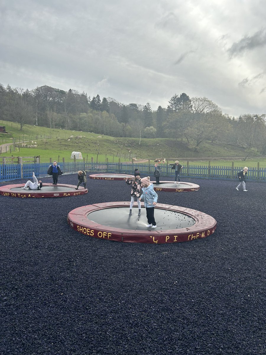 We had lots of fun on the trampolines and bouncy pillows! <a href="/MuirhousePS/">Muirhouse PS&Nursery</a>