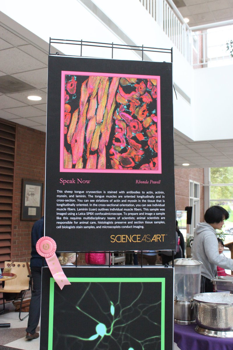 Clemson Engineering and Science Education tweet media