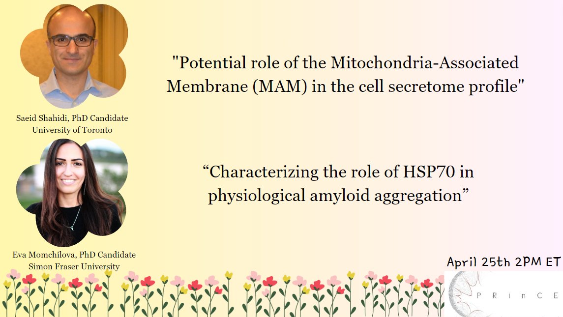 CdnProteostasis's tweet photo. Greetings PRinCE community! Introducing our speakers for this month. We are delighted to host Eva Momchilova from Simon Fraser University and Saeid Shahidi from the University of Toronto! See you all next week on April 25th at 2PM ET. Please message us to join our mailing list. https://t.co/WCxOQxUad8