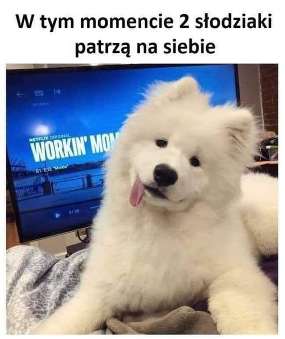 słodkich snów dziubasku :3