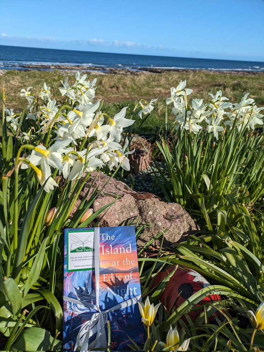 “I freeze, my heart thudding hard.”

Delighted to be part of the Book Fairies day sharing copies of #TheIslandattheEdgeofNight by #LucyStrange around Scotland & the UK!

Who will be lucky enough to spot one?
#ibelieveinbookfairies #ChickenHouseBooks 
#Scotland