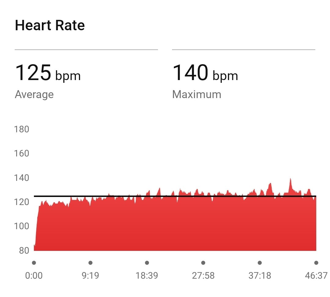 Violet Krueger tweet media