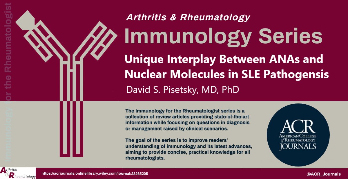 Next installment in A&R's Immunology for the Rheumatologist review series: The Unique Interplay Between Antinuclear Antibodies and Nuclear Molecules in Systemic Lupus Erythematosus Pathogenesis 📄 loom.ly/EqNuzdA 🎦 Narrated abstract: loom.ly/YPeqIvM