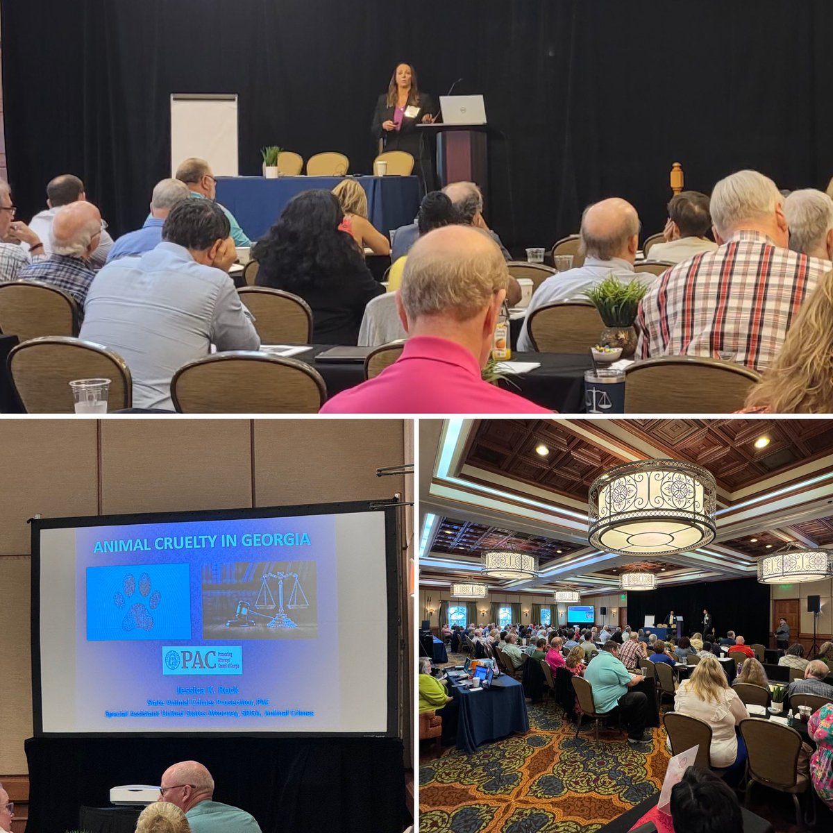 Prosecuting Attorneys' Council of Georgia tweet media