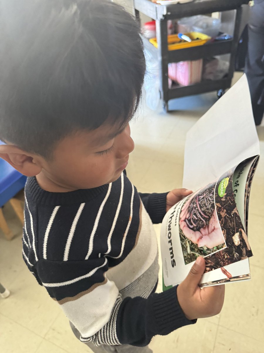 Exploring the world of insects with preschoolers is a journey of curiosity and prediction! From guessing which bug will crawl next to marveling at their intricate patterns, every moment sparks wonder and learning.