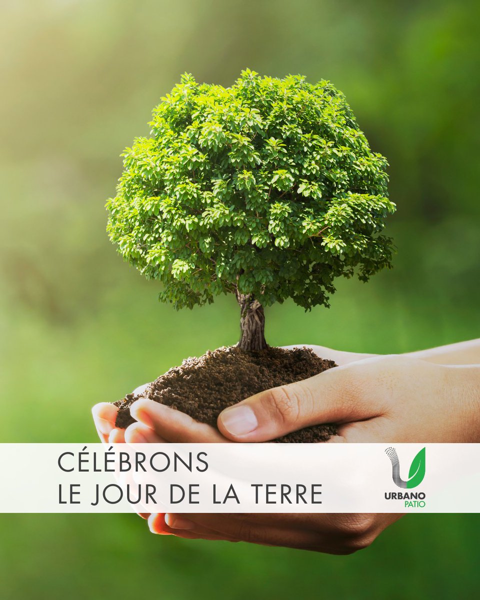 UrbanoPatio's tweet photo. Chaque plante est une promesse de renouveau, chaque jardin un refuge pour la biodiversité. 📷📷 En ce Jour de la Terre, célébrons notre amour pour la nature en créant des espaces verts qui inspirent et préservent la vie. #JourDeLaTerre #urbano #urbanopatio https://t.co/oo9D4dBfGS