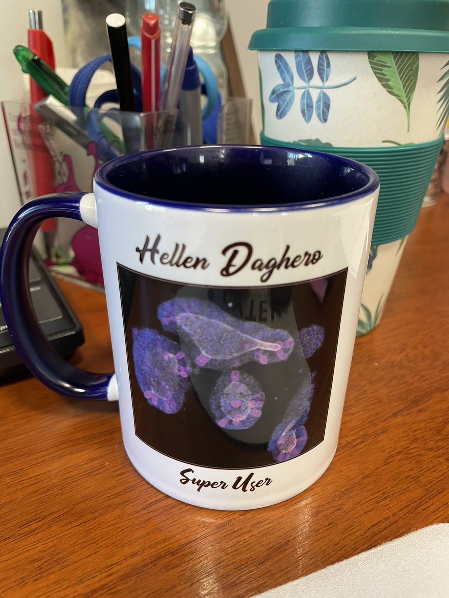 Hellen Daghero tweet media