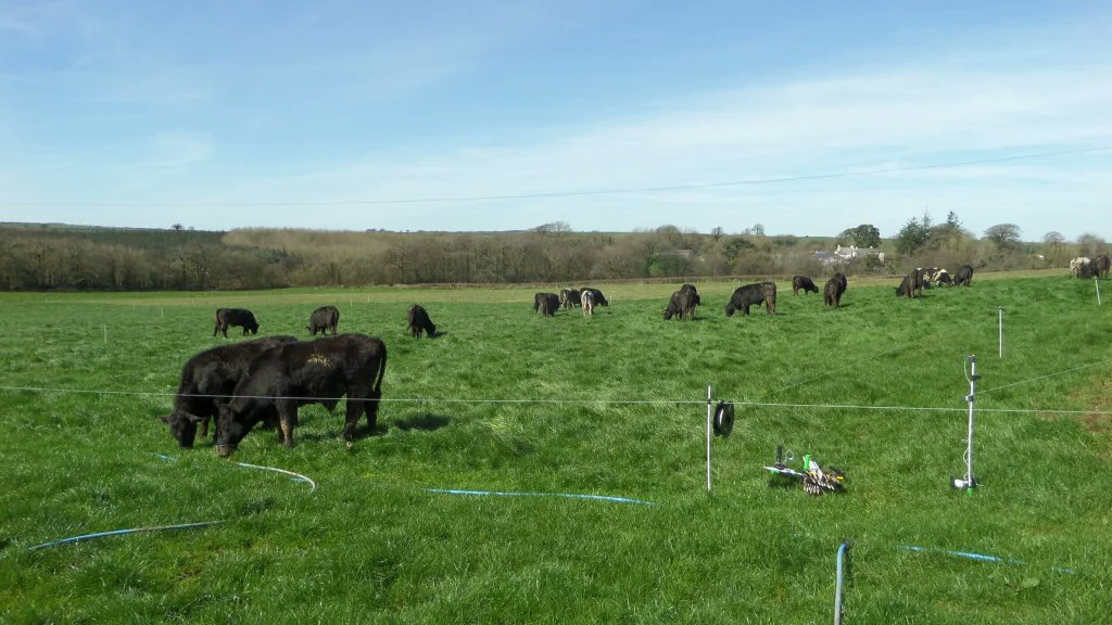 Check out this article on Electric Fencing written by one of Directors Gary Smolik. It is a great read, for those who have used electric fencing tools or those looking for guidance! poweringpastures.com/2024/03/20/ele…