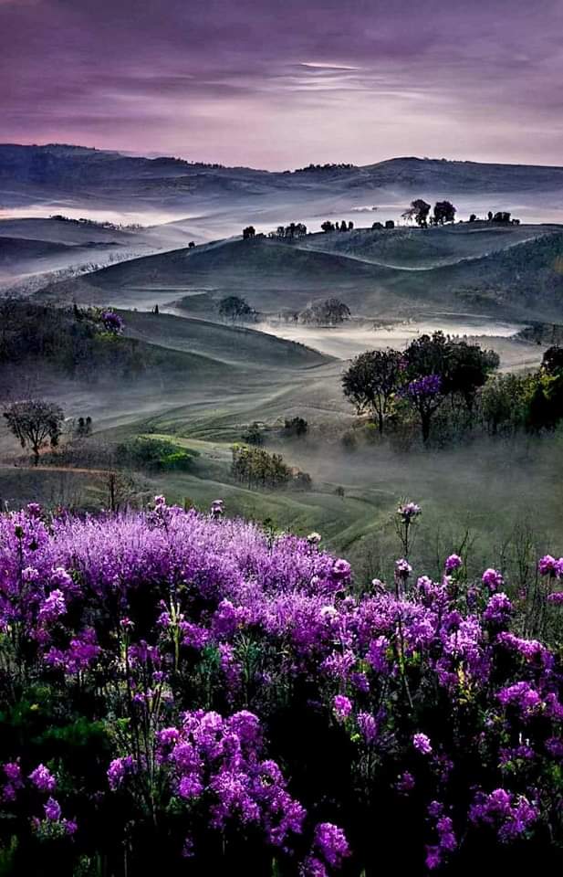 Kederimde yeter 
Ahım'da bana

Git dersen giderim 
Yük olmam sana...✍️🥀🥀

<a href="/siir_gibisin/">ŞİİŘ ĞİβİŜİŇ✍️</a>✍️