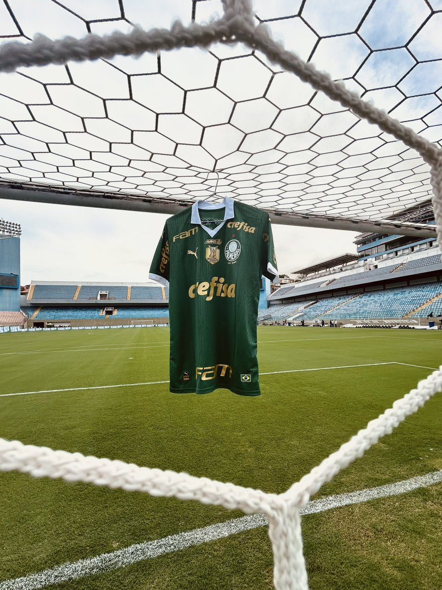 Noite de @Brasileirao com #MaiorCampeãoDoBrasil em campo! 🏟️🐷

#AvantiPalestra #PALxINT
#JuntosNoBrasileirão