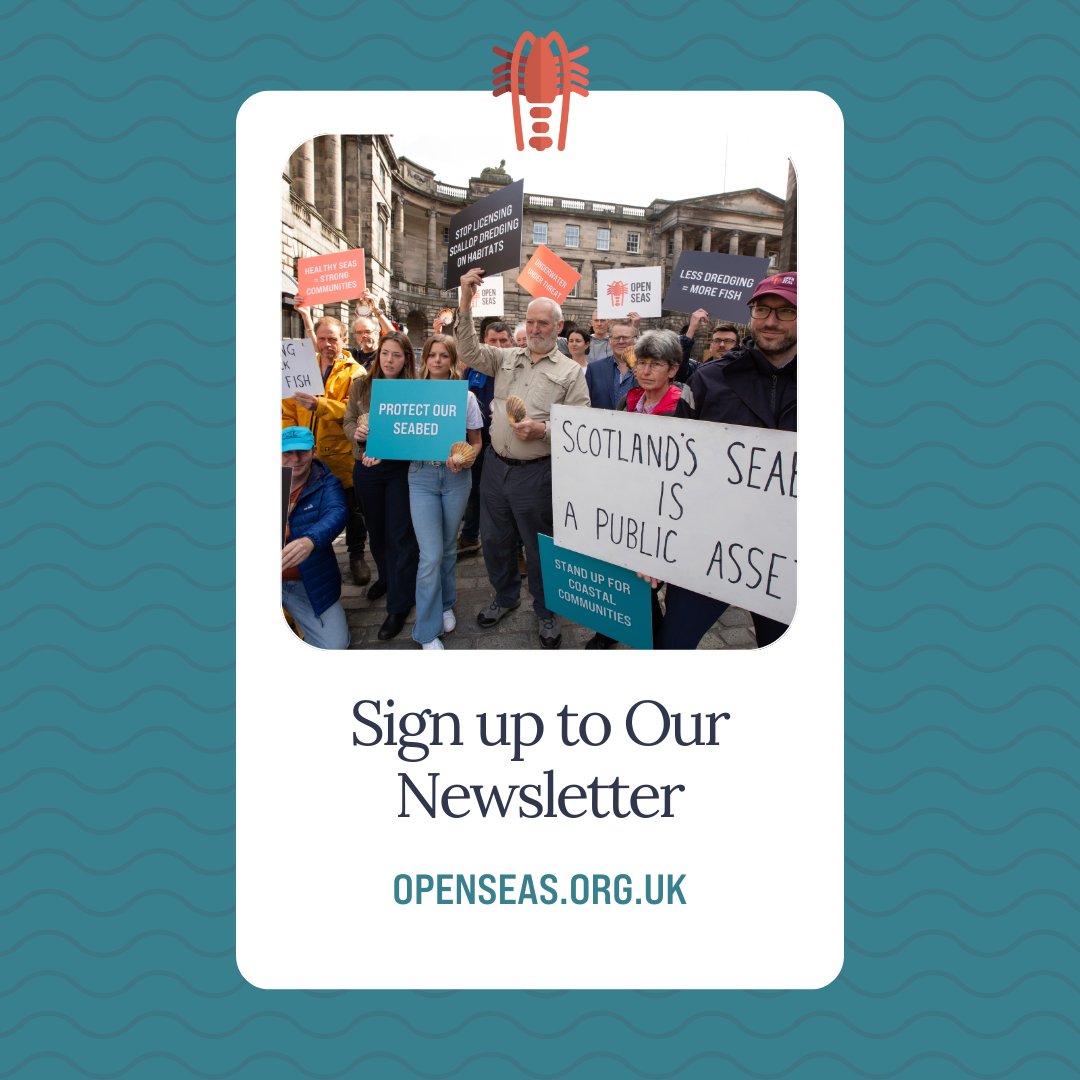 🌊 Dive into the depths with our monthly newsletter! Get exclusive insights into our campaign updates and industry news. Sign up below for a deep dive into #Openseas 🦐 openseas.org.uk/email-updates/