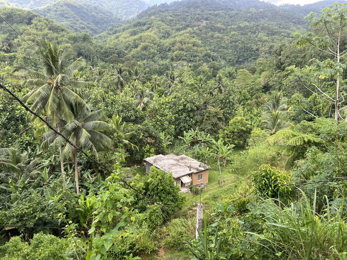 Found myself in Jamaica the past few weeks in Portland Parish it’s beautiful and very local. Visiting family friends and doing charity work. Wi-Fi super slow. I’ll be heading to beach area at some point. 🇯🇲