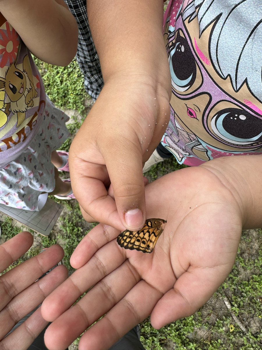 Thank you @ReedElementary for another excellent Garden Day! Students had so much fun learning about complete metamorphosis 🔁 ladybugs 🐞 and flowers 🌸 @readygrowgarden @ReedLeadLearner @CyFairISD @CFISDScience #gardenday #texasgardening #elementaryscience