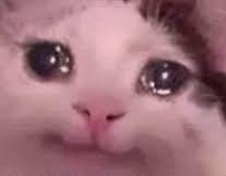 charlotteLoVT's tweet photo. Guapuras, el stream será a las 5 

1. Ya quiero verlos
2. Quiero hacer ejercicio en la noche https://t.co/tFFnQLgJCW