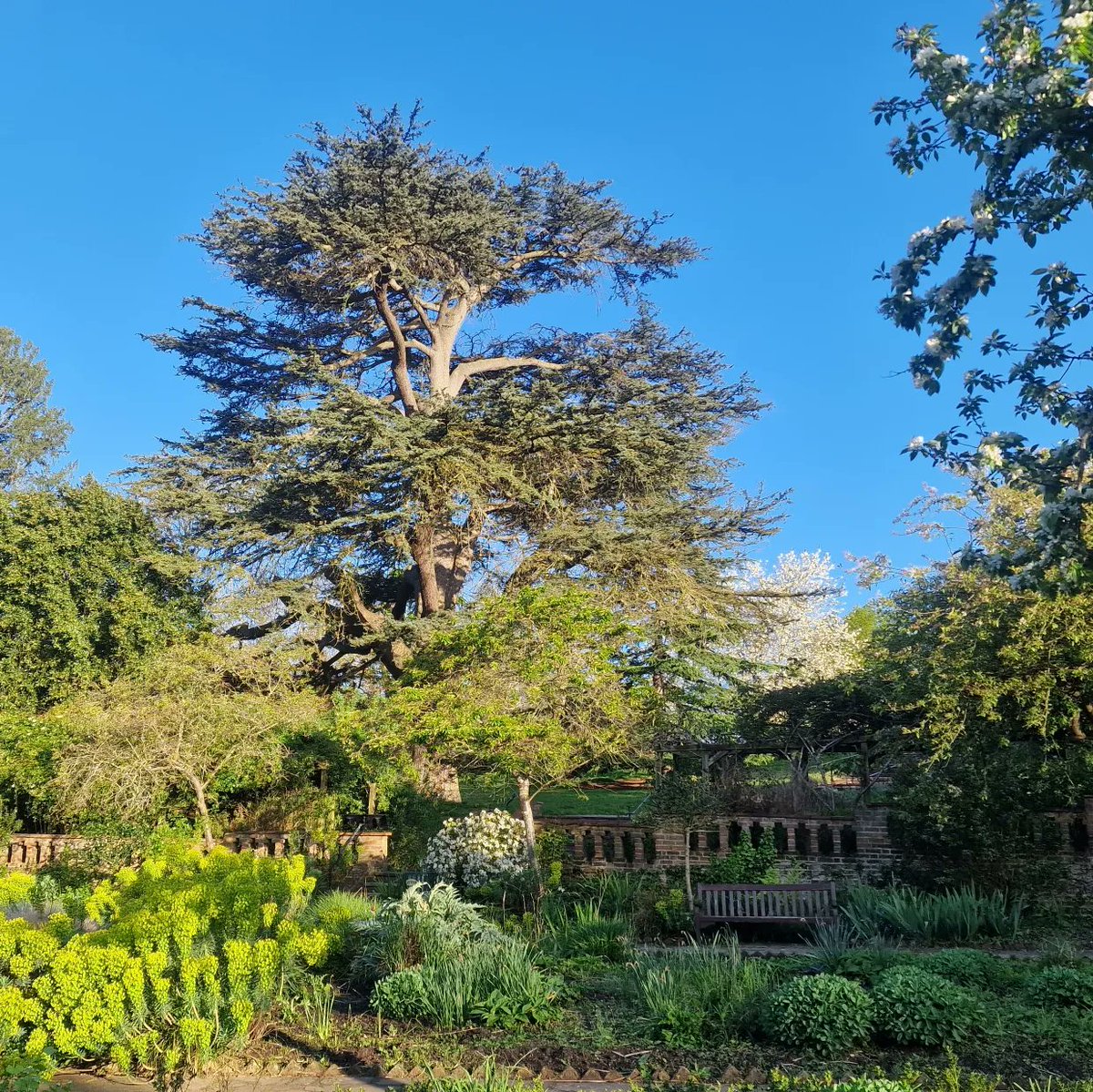 #Spring is awakening at the beautiful #streathamcommon Rookery Gardens! Come see for yourselves this Saturday 20th April to visit The Rookery Market, and Ink Spot Brewery's #shuttersup with hot flame cooked food from Firepit 🔥🍻