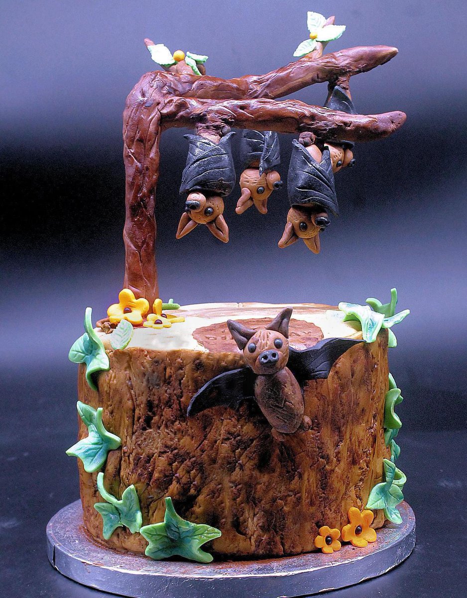GhouliaChilds's tweet photo. BAT Cake by Rabbit Vegan Cakes via Instagram 🦇🦇
#InternationalBatAppreciationDay
#SaveBats
#GhastlyGastronomy
https://t.co/nwbTIYys5z https://t.co/k1ZfnKtZnH