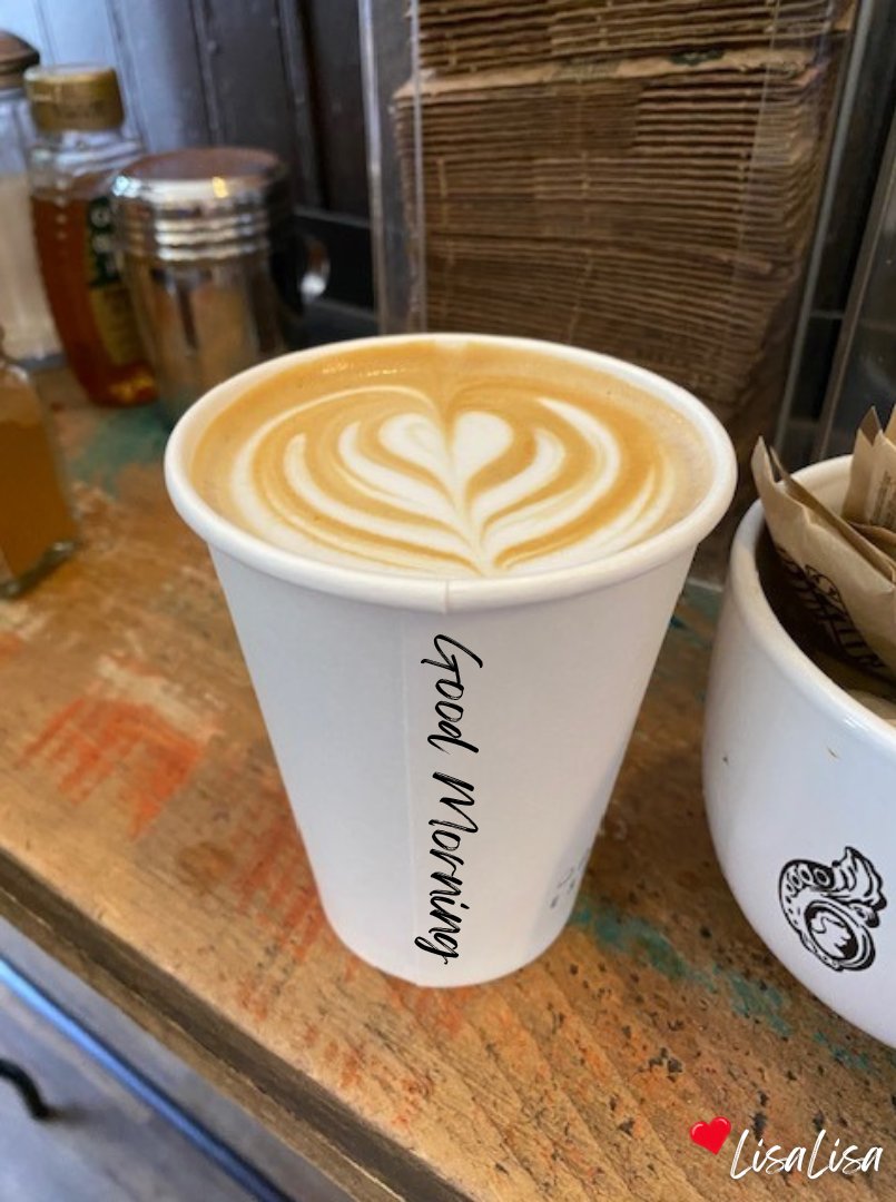 LisaLisa🌟 tweet media