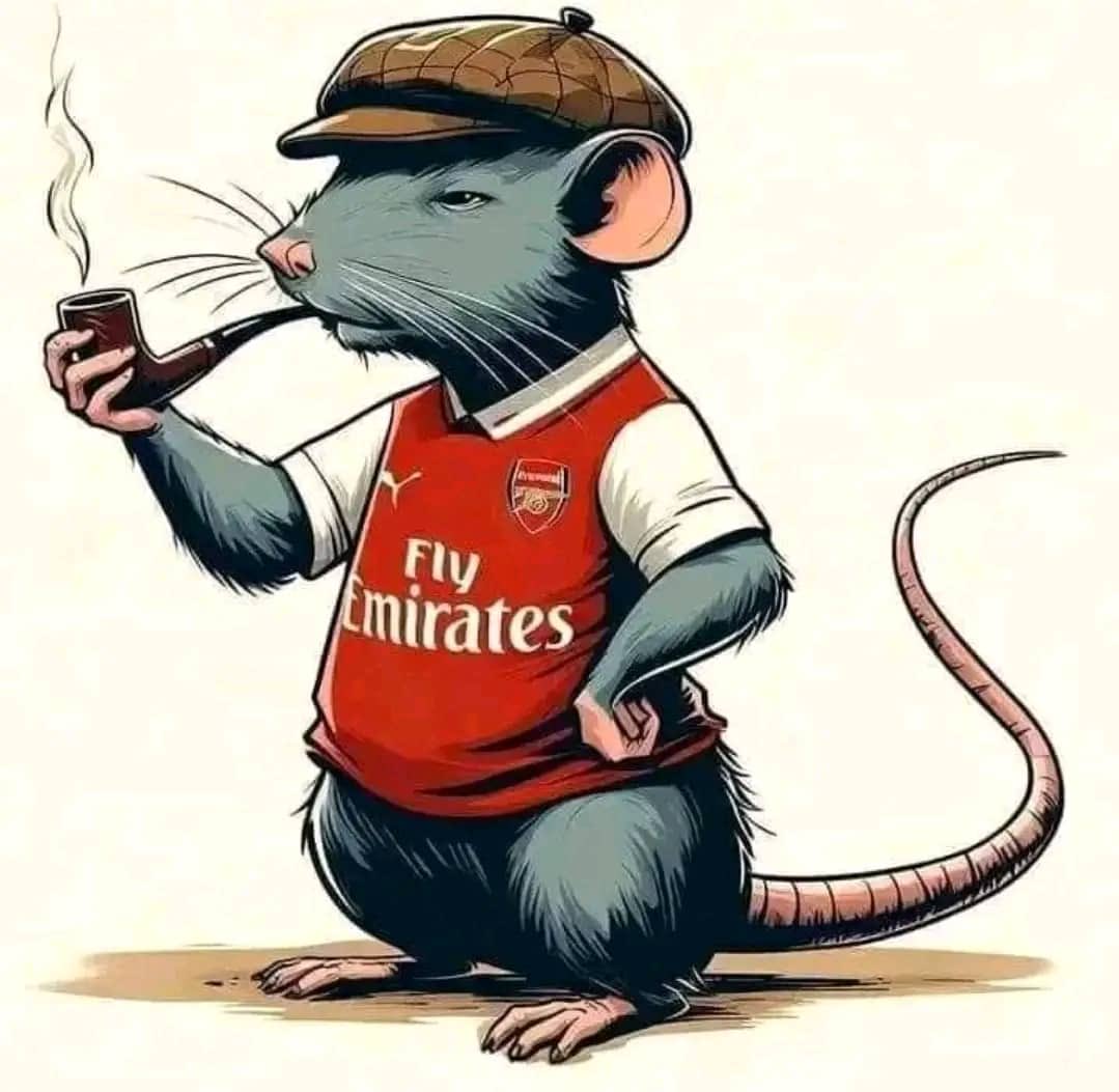 Arsenal to day 🤣🤣🤣#BAYARS inzovu zahindutse imbeba 🤣