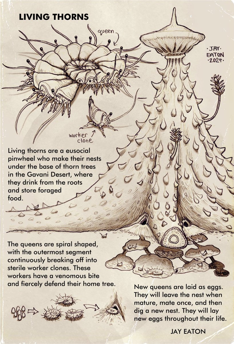 Simon Roy @simonroyart asked me to invent a guy (alien organism) for his newest book, Refugium, which comes with a guy emporium (alien life guidebook). If you like alien ecology, failed utopias, and frontier stories I highly recommend it. kickstarter.com/projects/grizg