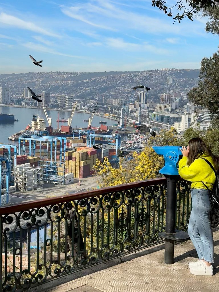 apuntesyviajes's tweet photo. 📝 “Hermoso mirador de mis tiempos de juventud cuando entré a estudiar a la UPLA en Gran Bretaña, recuerdos que atesoro en mi memoria y que jamás olvidaré” #valpolovers ❤ Esvita Vicencio #ApuntesyViajes 🧳🌎 #Valparaíso #ApuntesyViajesChile 🚎🇨🇱 https://t.co/V78tDizM1J