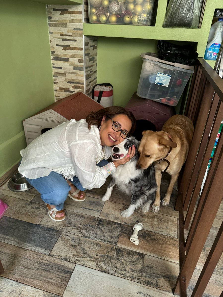 azucenacisneros's tweet photo. ¡Buenas tardes vecinos! Feliz ombligo de semana. ¿Cómo va su día? Yo me tomé unos minutos para darles un poquito de amor a mis hijas perrunas. ❤️ 🐶🐶

#AzucenaEsUnidad https://t.co/Ew7tC36EwZ