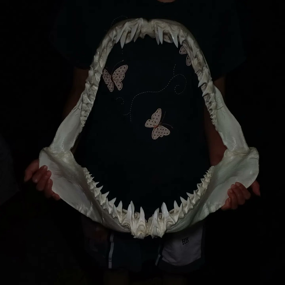 X.T Reptiles & Specimens Studio tweet media