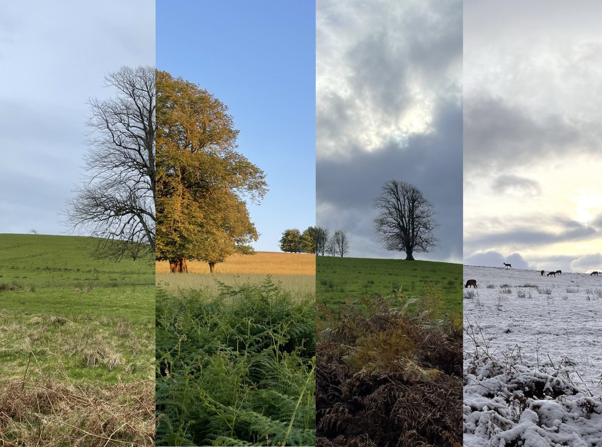 This is my favourite spot in the whole world and every time I pass by, I try to take a shot of what I call ‘The Mighty Oaks’. So, here’s a compilation I’ve created called ‘4 Seasons’.
#killarneynationalpark
#killarney #irishphotography #irishoutdoorphotography #lovekillarney