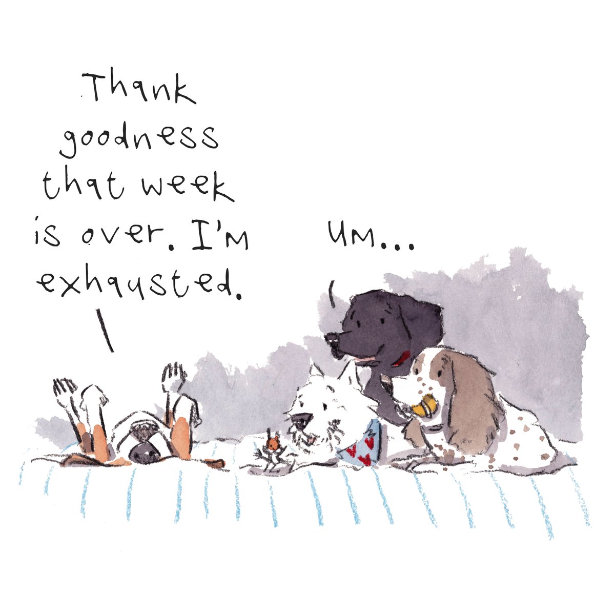 iaindwelch's tweet image. Good night, lovely people and lovely dogs.
The beagle is completely exhausted...
Sleep well and sweet dreams.
I hope that you have a splendid day tomorrow. 
#hoorayfordogs #beagle #westie #labrador #springer #redsquirrel