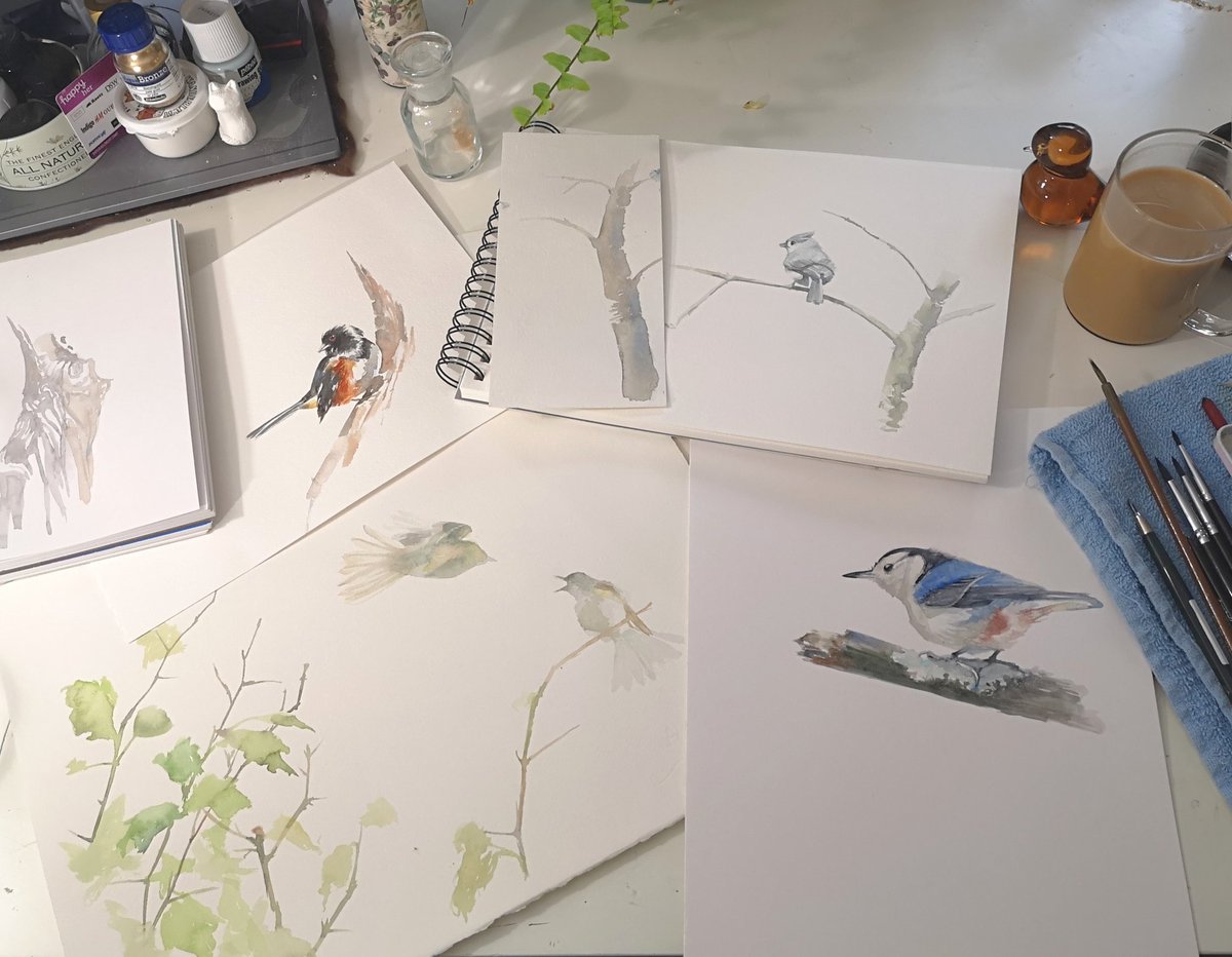 Back to basics... Spent the day painting without drawing first - it forces me to be more observant, as there's no eraser! I also worked from the Cornell labs bird cams a lot today - great practice capturing figures quickly. #birds #naturejournal #art #watercolor #painting