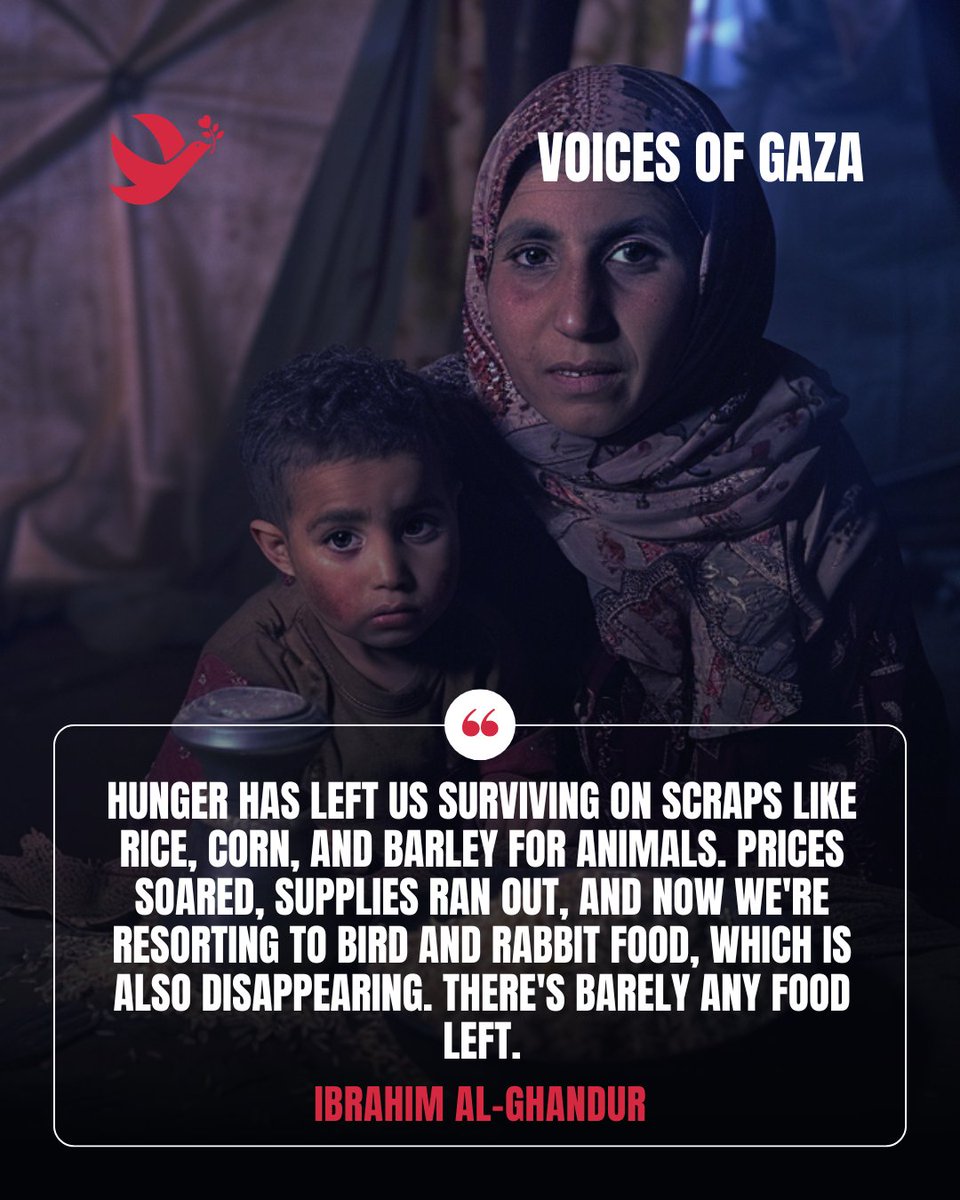 Critical Shortage: Families in Gaza struggle with soaring food prices and scarcity. Essentials like baby formula are gone, and we're left with animal feed. Urgent aid needed now. 🚨 #GazaCrisis #FoodShortage #ActNow #EmergencyAid #SupportGaza