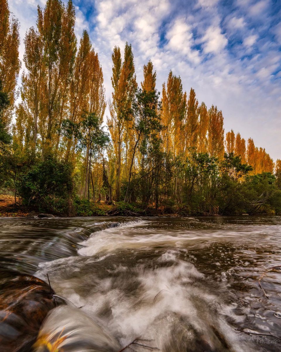 The Derwent Valley during autumn, full of stunning colours and incredible scenery. Thanks for sharing Eamon 🙌 

📌 Westerway, Derwent Valley
bit.ly/Derwent-Valley

📸 Eamon Gallagher
instagram.com/eamongeyeofale…