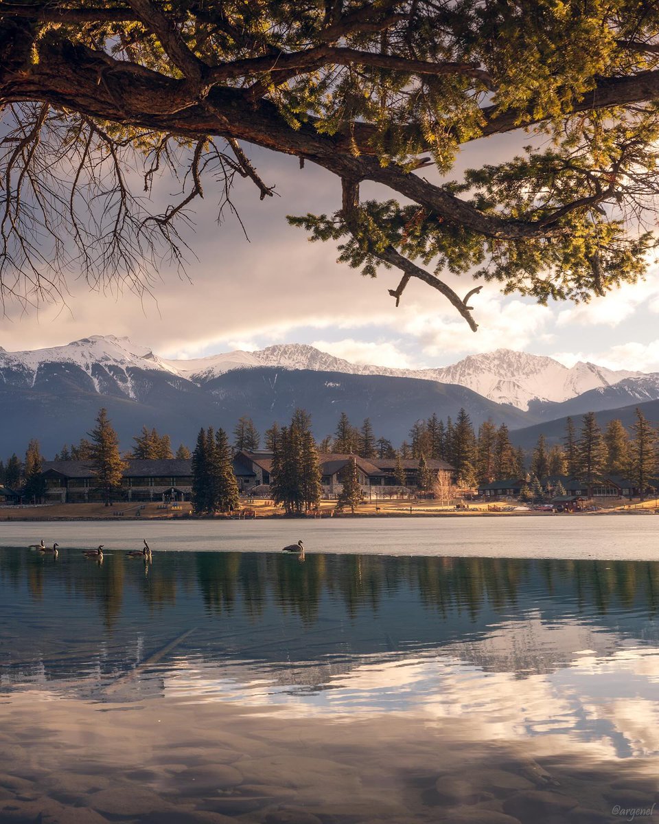 Embracing the beautiful views at @FairmontJPL as Lac Beauvert emerges from its winter slumber.  🏔️

Photo by: @argenel
#MyJasper #VentureBeyond